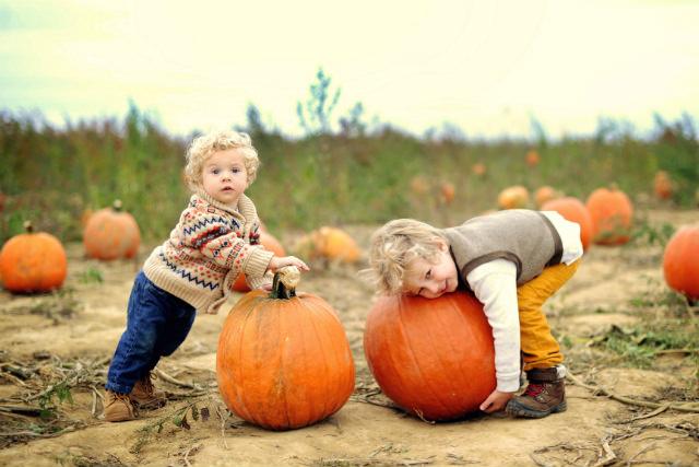kinds playing with pumpkins